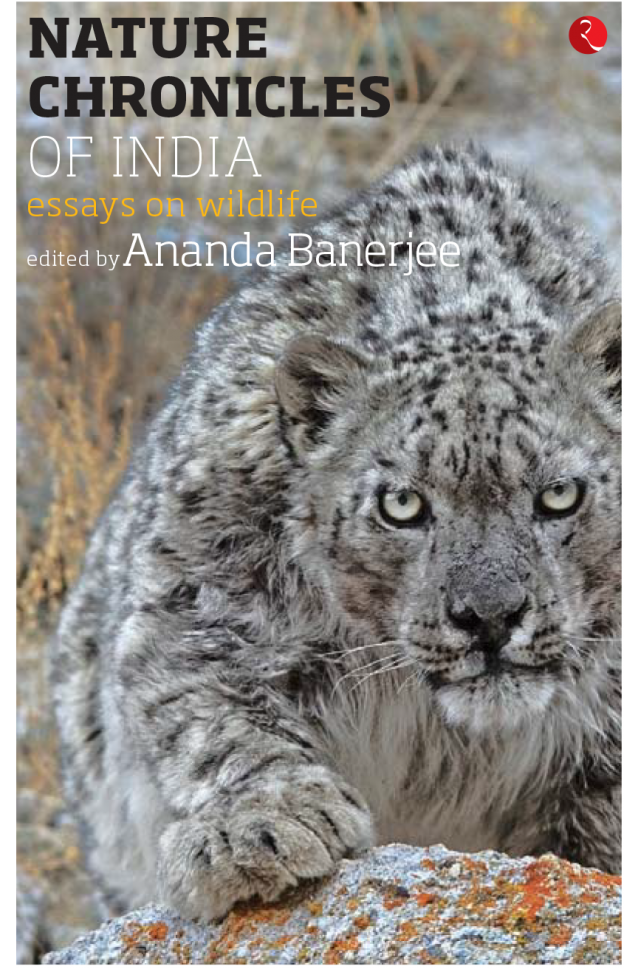 Essays on wildlife conservation